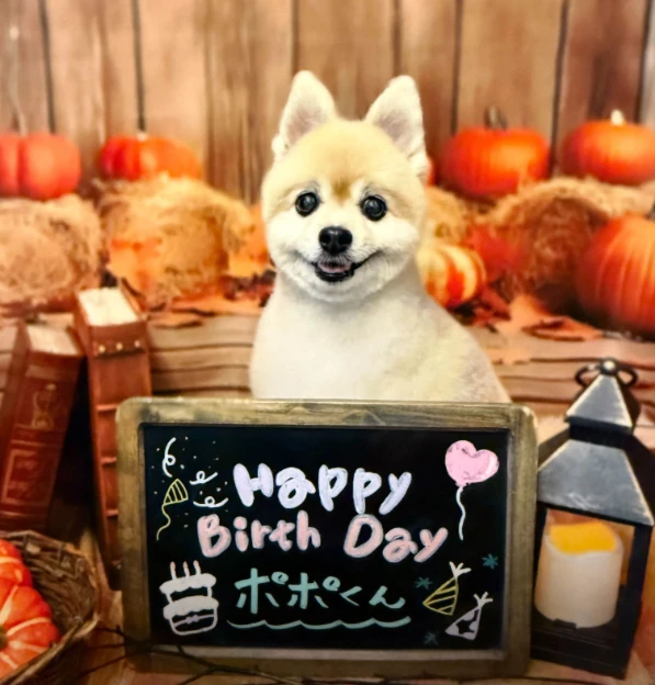 誕生日の飾り付けと一緒に写るポポ君